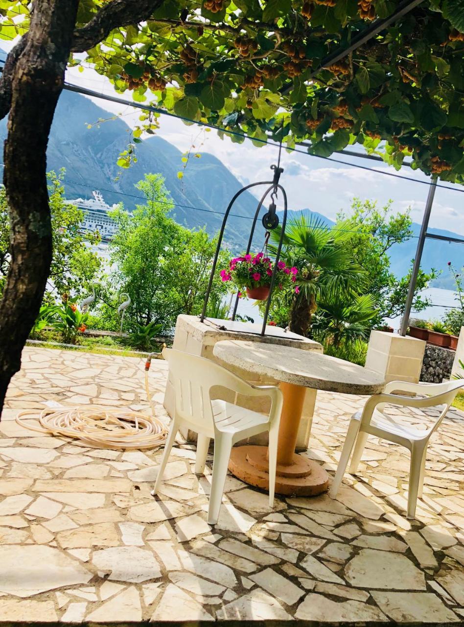 Studio Apartment Todorovic Kotor Extérieur photo